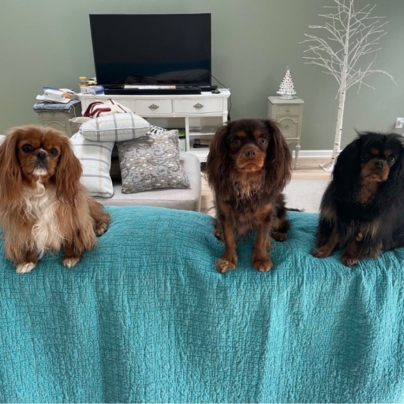 About Me - Picture 9 of 16